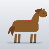 Paard